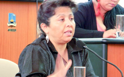 Navarro sobre Cimadevilla: “¿Qué carajo hizo por la provincia”?