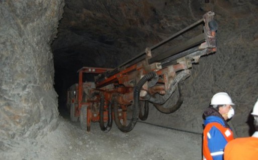 Para Ávila, la minería es una salida a la crisis petrolera