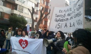 11265091_10207424005463304_1760686596772699791_n