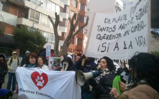 Marchan contra la matanza de perros en el centro