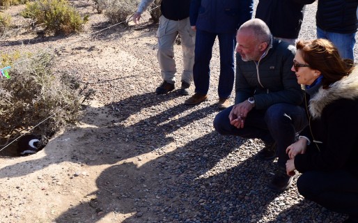 Buzzi resaltó el éxito de la «Vigilia de los Pingüinos»