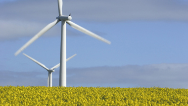 CAMMESA bloquea a las pymes que quieren licitar en renovables