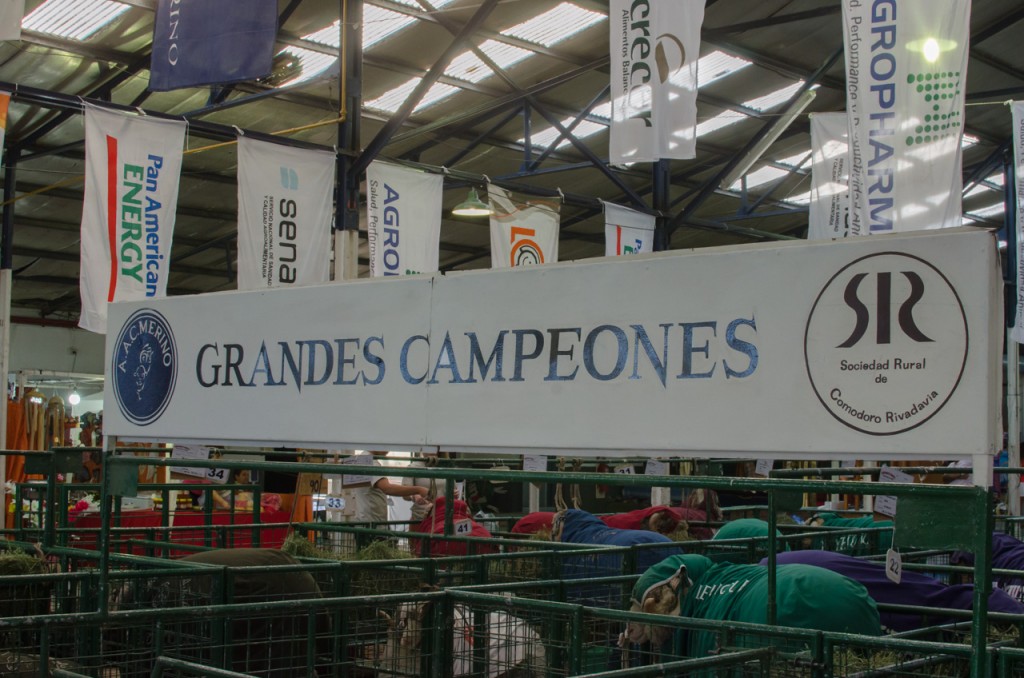 PAE rural