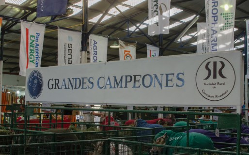 PAE acompaña al campo en la 8° Exposición Bovina
