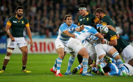 Diezmados, Los Pumas finalizaron en el cuarto lugar