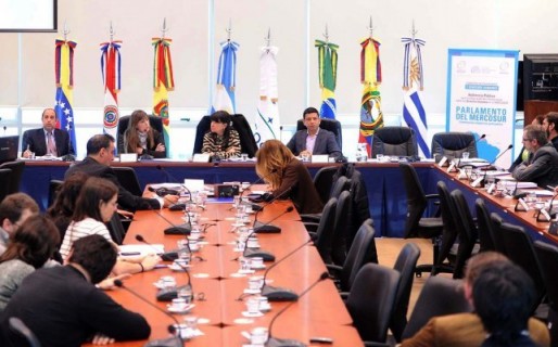 El FpV tendrá la mayoría de las bancas en el Parlasur