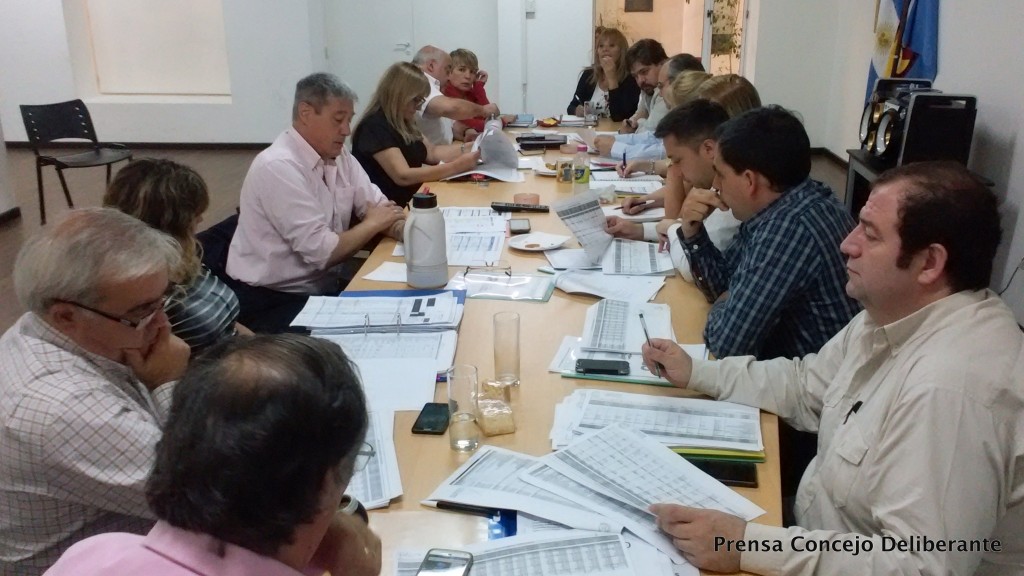 Concejo Deliberante Salud