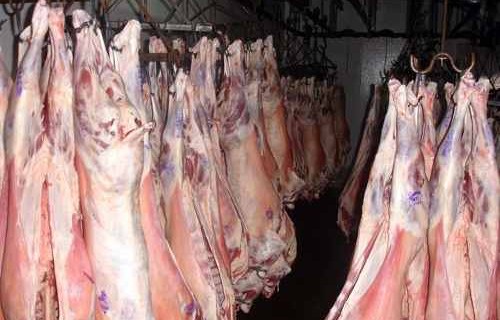 Decomisan 700 kilos de cordero en Ramón Santos