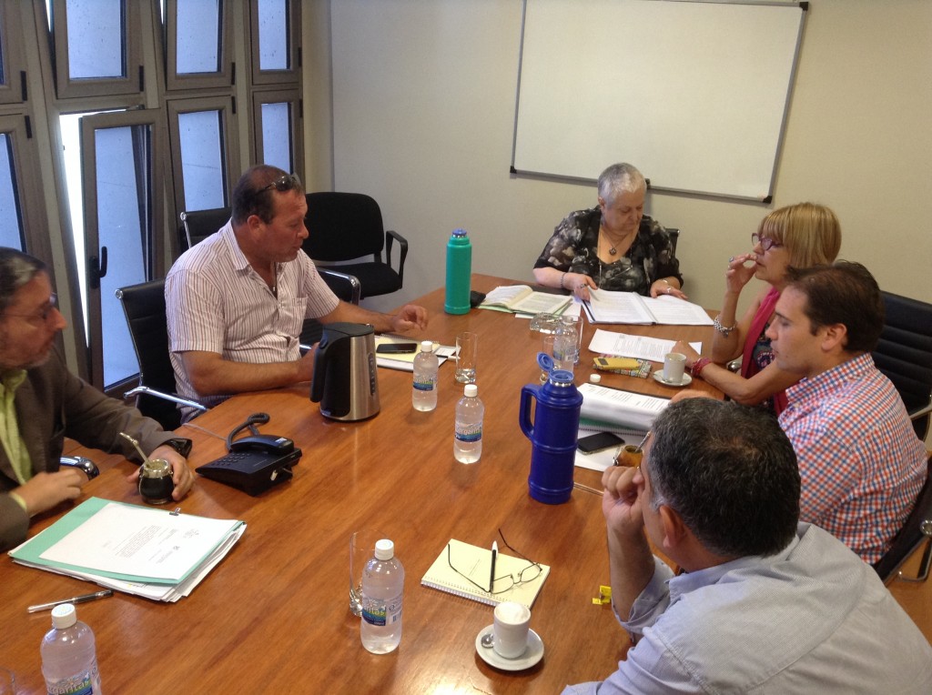 fita ley emergencia economica