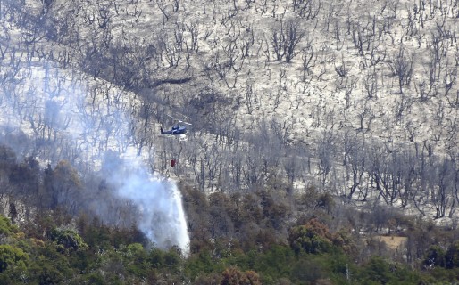 Continúa el combate del fuego en el Parque Nacional Los Alerces