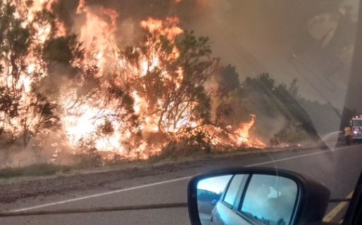 Se incendia el Parque Nacional Los Alerces
