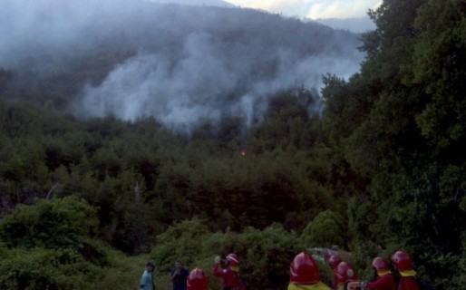 Mantienen controlado incendio forestal en cercanías de Lago Puelo