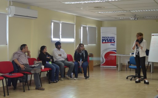 PAE PyMEs y Comodoro Conocimiento realizan curso sobre Equipos de Trabajo
