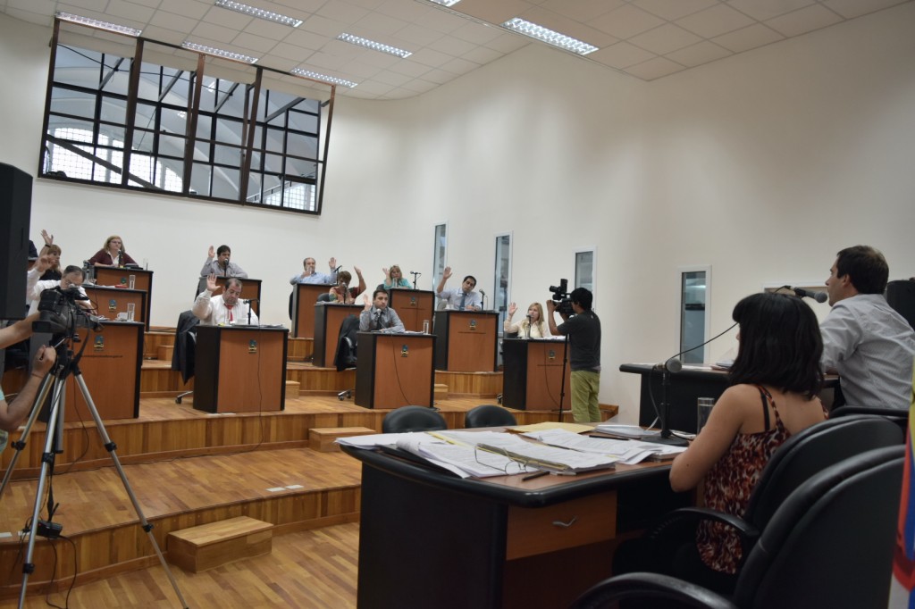 concejo 1003
