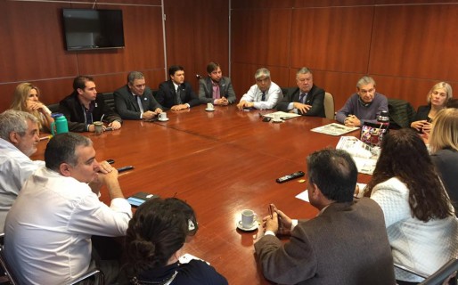 STJ: Guinle aboga por las audiencias públicas