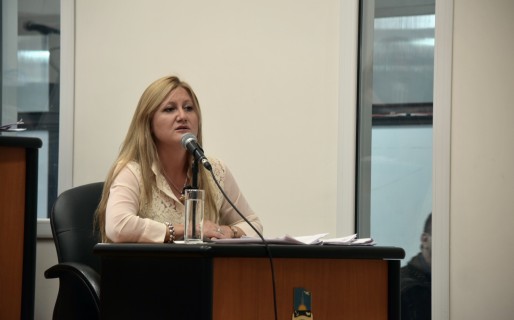 “Queremos que ANSeS revise el valor del subsidio a las garrafas”