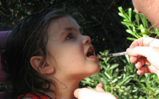 Visto bueno para el uso medicinal de aceite de cannabis