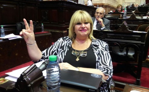 “Macri usa a los jubilados en un paquete de leyes para su beneficio”