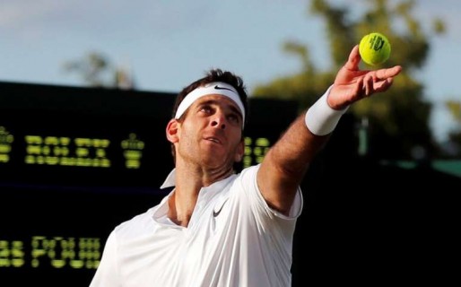 Del Potro no pudo con el francés Pouille