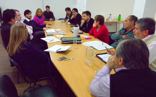 Concejo: La Comisión de Salud se reunió con el referente de PAMI