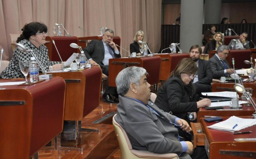 Legislatura: El PJ solicitó prevención y control por la prostitución infantil y la trata