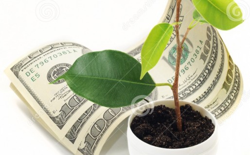 Brotes verdes: Fuga de divisas y endeudamiento externo