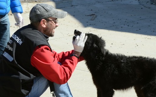 Comenzó el Censo de Animales en el Abel Amaya