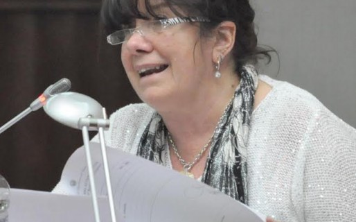 Dufour: “La Procuración es la comisaria política del Gobierno”