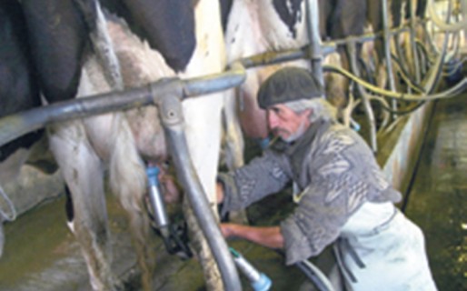 Las economías regionales atrapadas en el laberinto del PRO