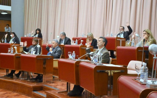 Fuerte debate legislativo: Meza Evans quiere informes sobre la salud de Das Neves
