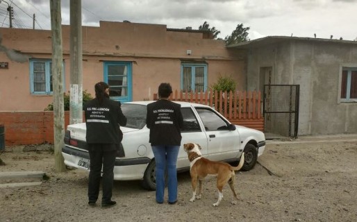Nueva jornada de censo y desparasitación de animales en Restinga Alí