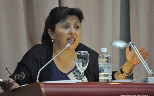 Navarro a contramano del Frente de Mujeres propone a Taboada