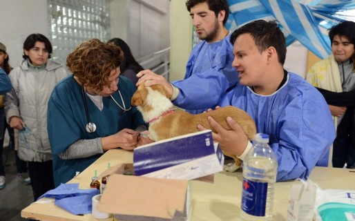 Mascotas: Campillay valoró “el compromiso de la juventud para generar conciencia”