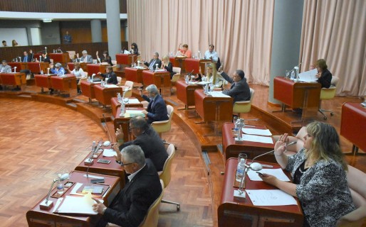 La Legislatura convocará a operadoras para analizar inversión y productividad