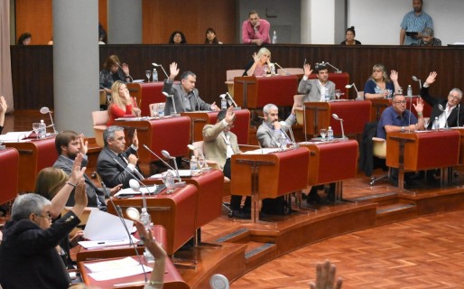 El ChuSoTo acompañó al FpV en el rechazo de los vetos de Das Neves