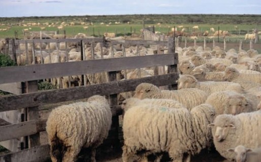 Luján: “La falta de inversiones hace que los dueños prácticamente tengan que regalar sus tierras a empresarios extranjeros”