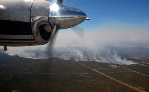 Los incendios ya consumieron 600 mil hectáreas en La Pampa