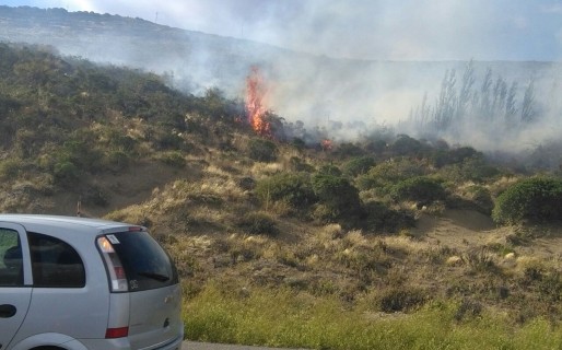 Avanza nuevo incendio de pastizales en el sector alto del Roque González