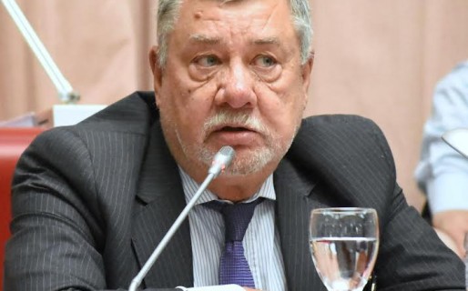 Meza Evans: “Miquelarena conforma un frente electoral con Das Neves”