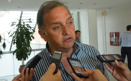 “Das Neves está avasallando todos los poderes del Estado”