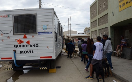 El Municipio concretó una campaña de desparasitación y vacunación canina y felina