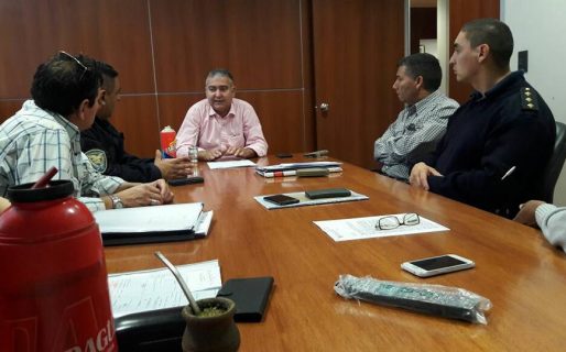 Pagliaroni y Fita a favor del cannabis medicinal