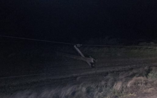 Ráfagas de 109 km/h volaron techos, árboles y cartelería