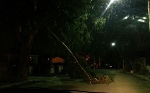 Cortes de energía por las intensas ráfagas de viento