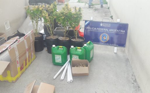 Secuestran plantas de marihuana, químicos y detienen a un hombre