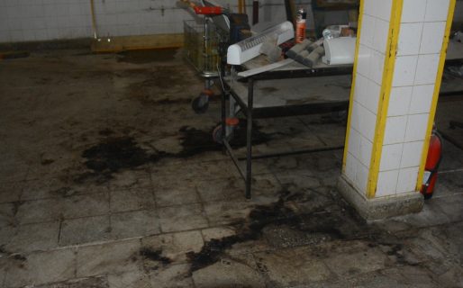 Clausuran Diarco por presencia de excremento de paloma y roedores