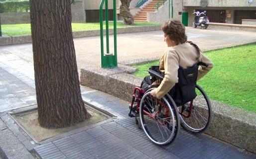 La Justicia anuló el veto presidencial a la ley de Emergencia en Discapacidad