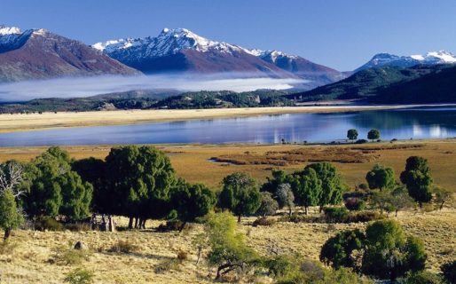 Se consolida el Parque Nacional Patagonia