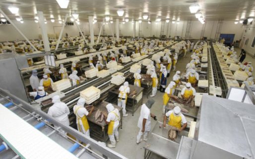 La producción de la industria Pyme cayó 0,5% en junio