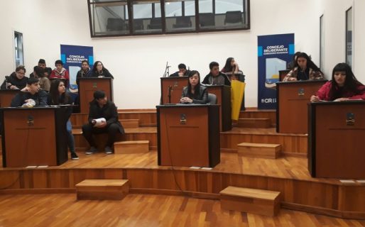 Estudiantes presentan un proyecto de “tenencia responsable de mascotas”